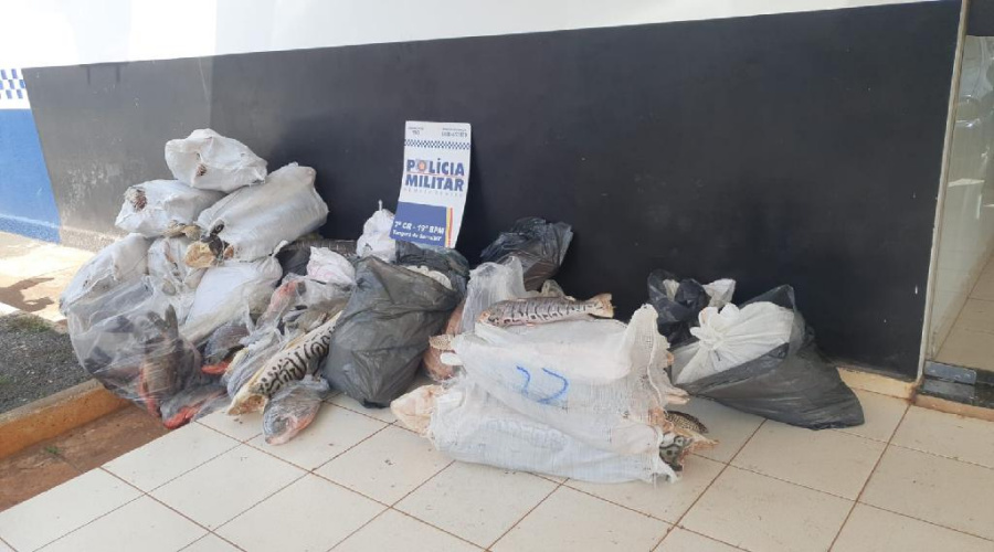 Polícia Militar apreende mais de 700 quilos de pescado irregular no interior de MT 1