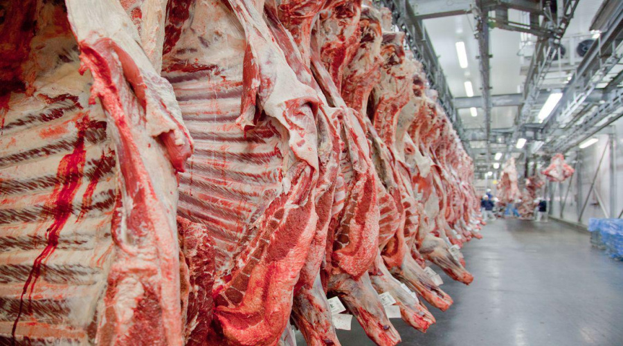 Brasil já pode exportar carne bovina ao México; veja estados liberados 1