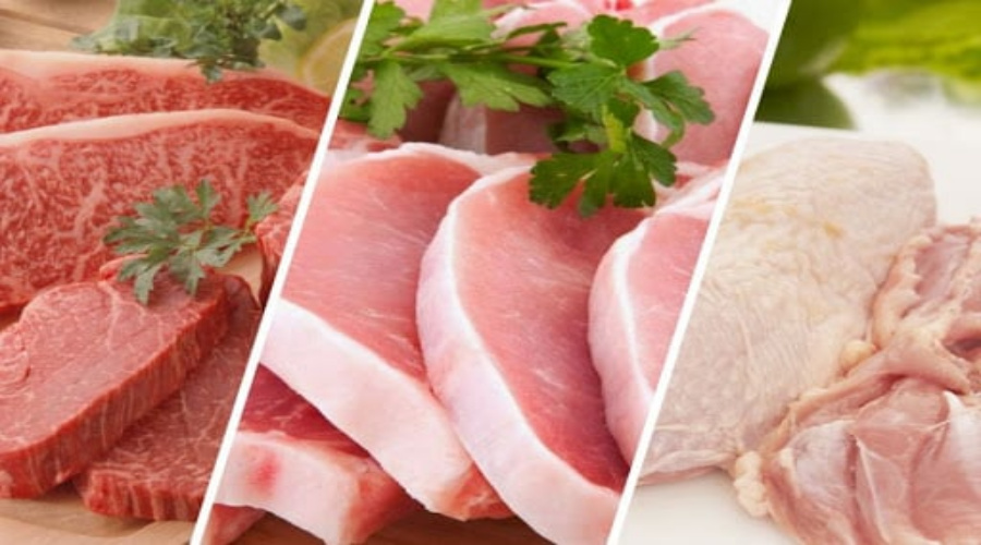 Oferta de carne no Brasil pode atingir recorde neste ano, diz Conab 1