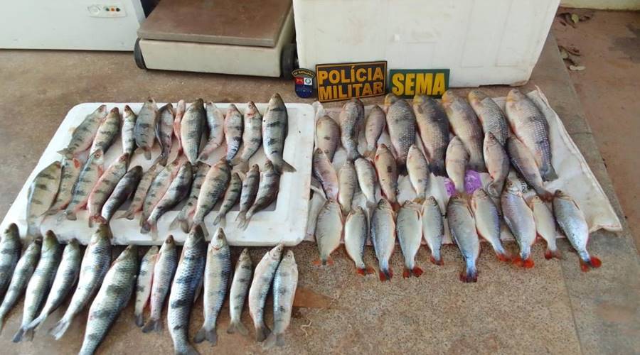Sema-MT apreende 20 kg de pescado ilegal em Santo Antônio de Leverger 1