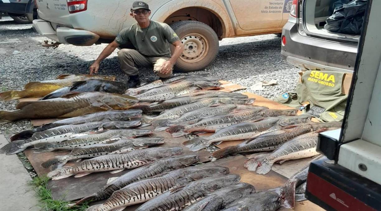 Sema e PM apreendem jacaré e 371 kg de pescado ilegal durante fiscalização 1