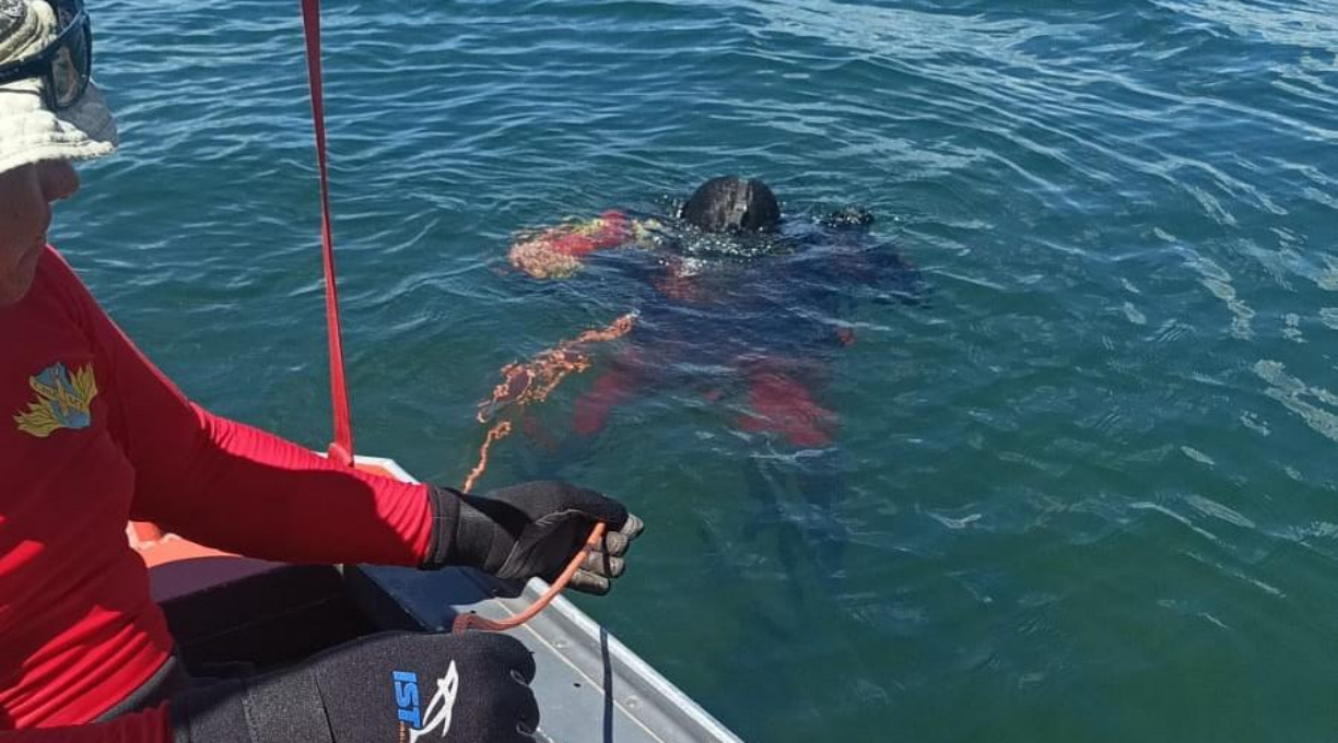 Corpo de Bombeiros resgata corpo de vítima que caiu no Lago do Manso 1