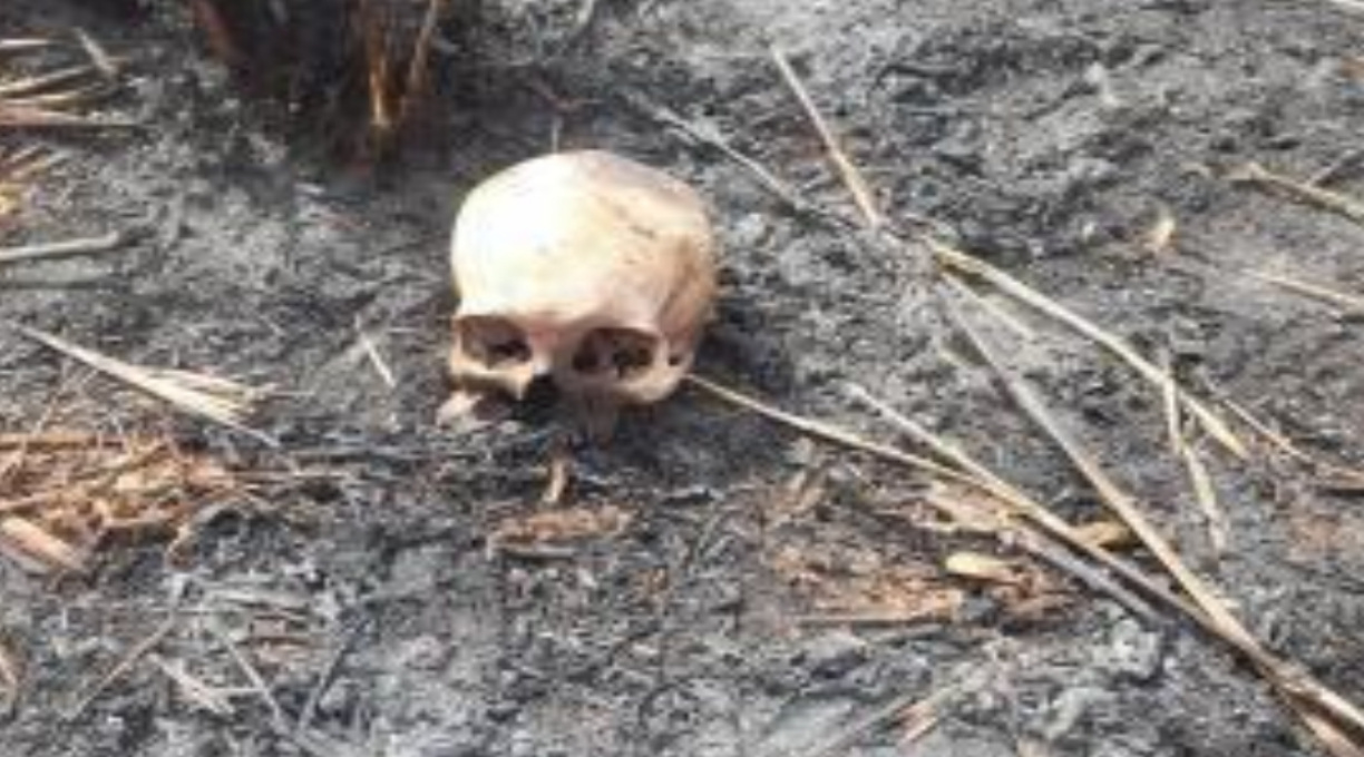 Ciclista encontra ossada humana carbonizada em área rural no interior de MT 1