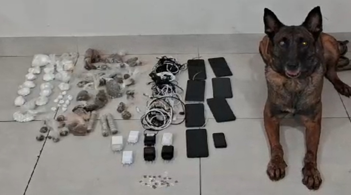Durante Operação Proclamação da República, Polícia Penal apreende grande quantidade de ilícitos na Mata Grande 1