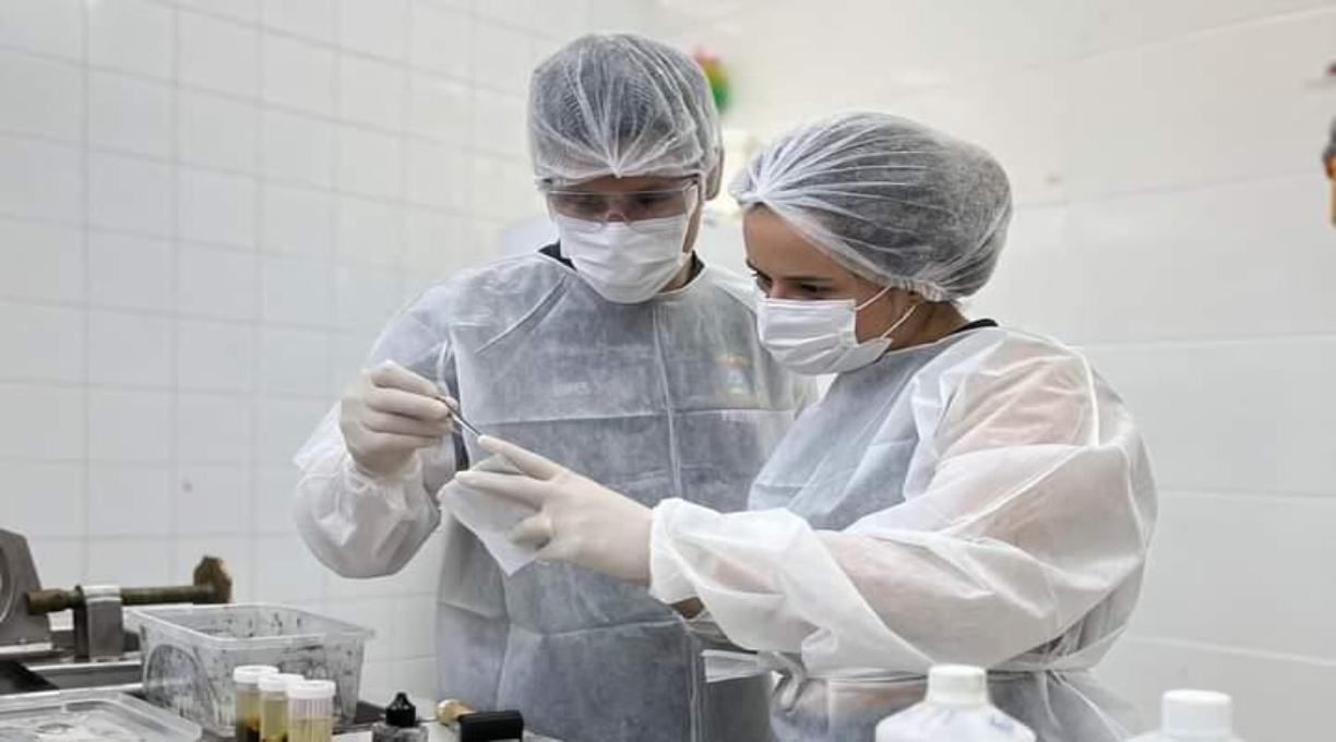 IML de Cuiabá divulga informações sobre vítimas que aguardam por identificação 1