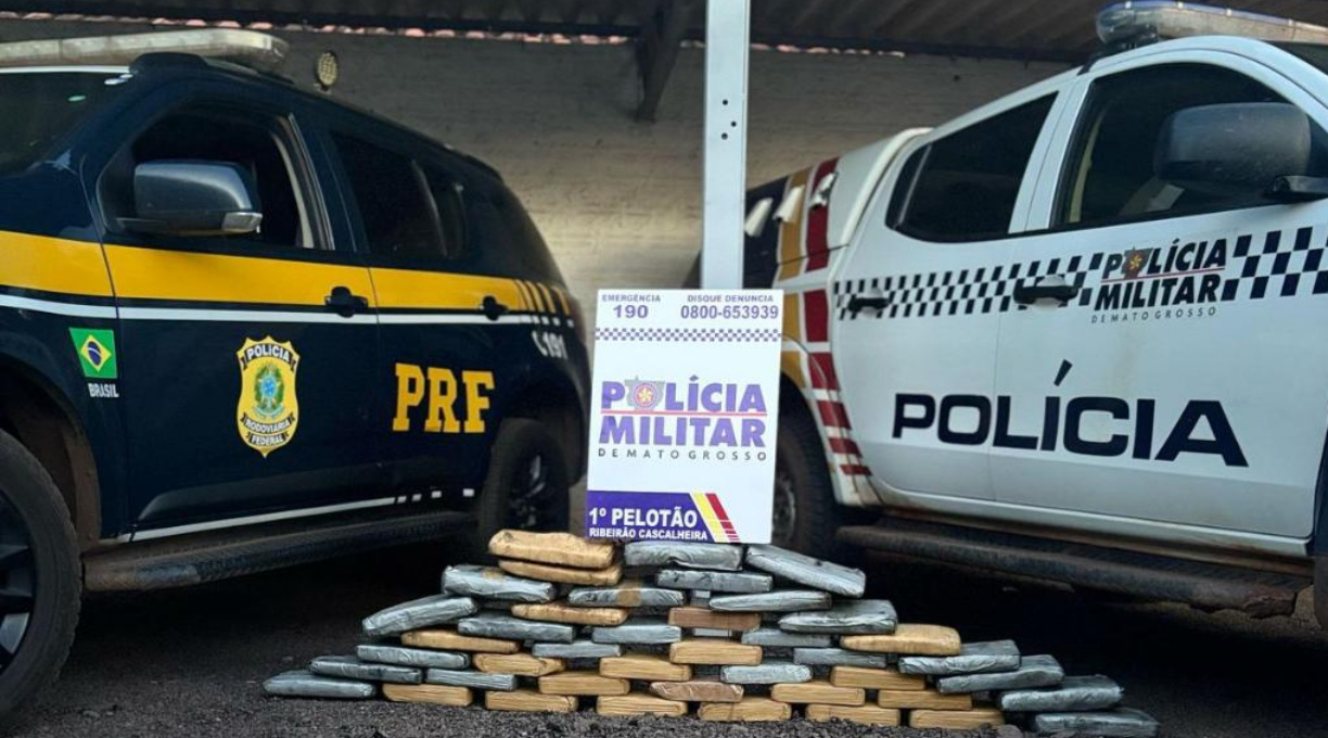 PM apreende 115 quilos de entorpecentes e prende 8 pessoas por tráfico de drogas em MT 1