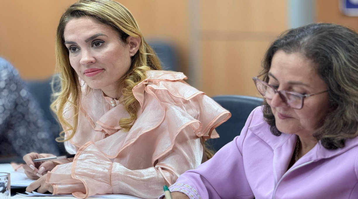 Vereadoras de Rondonópolis solicitam implantação da Casa da Mulher Brasileira no município 1