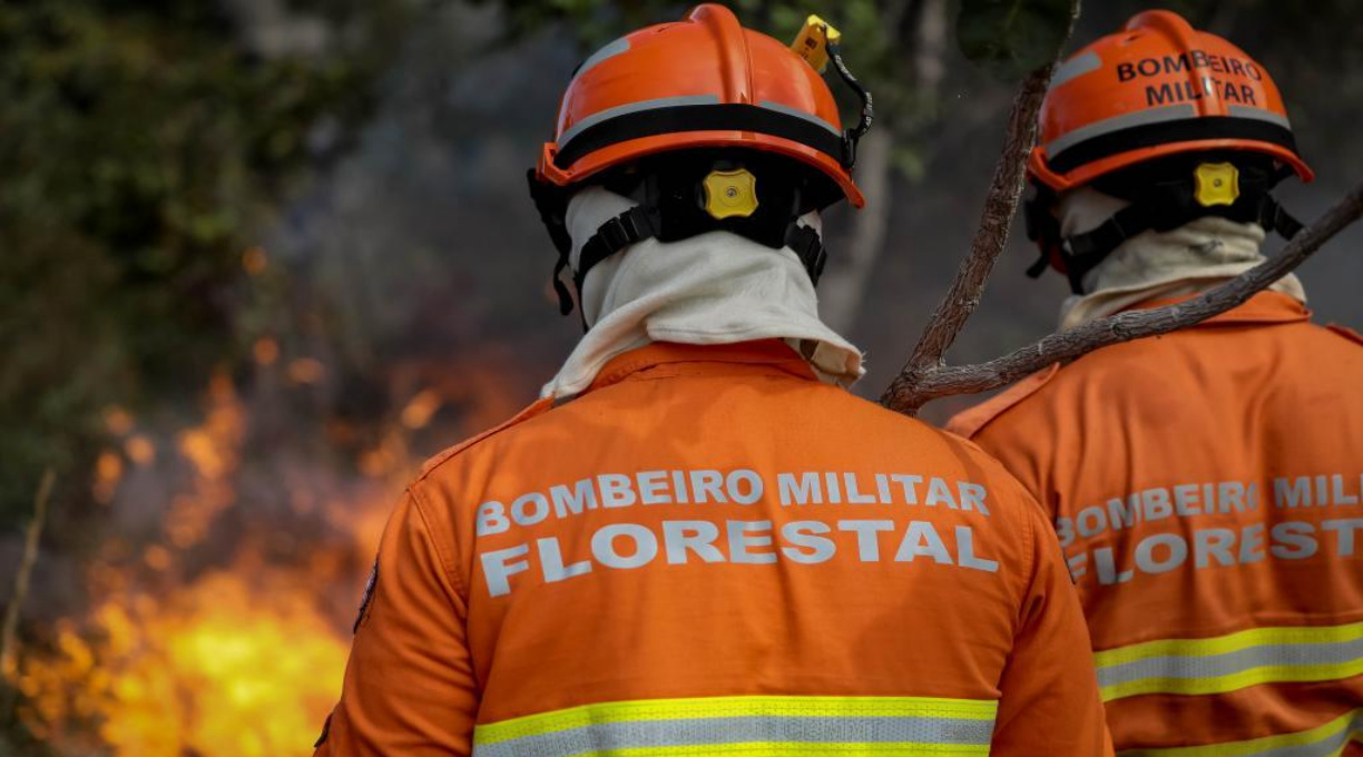 Corpo de Bombeiros abre inscrições para o 7° Curso de Prevenção e Combate a Incêndios Florestais 1