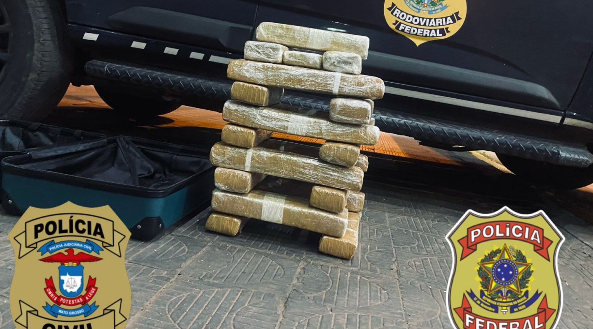 Ação de forças de segurança resulta na prisão de uma jovem por tráfico de drogas e na apreensão de 20 kg de maconha 2