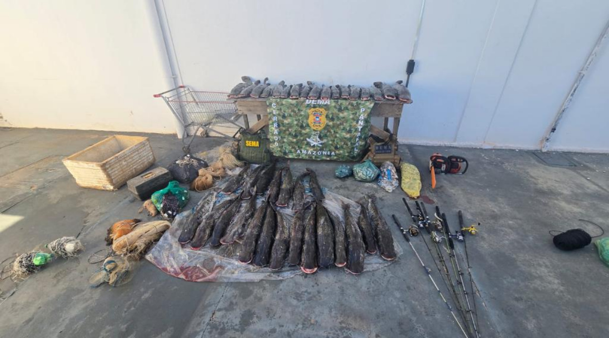 Polícia Civil prende idosa por pesca predatória em Barão de Melgaço 1