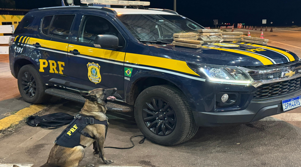PRF prende jovem com 15 tabletes de maconha na BR-364 em Rondonópolis 1