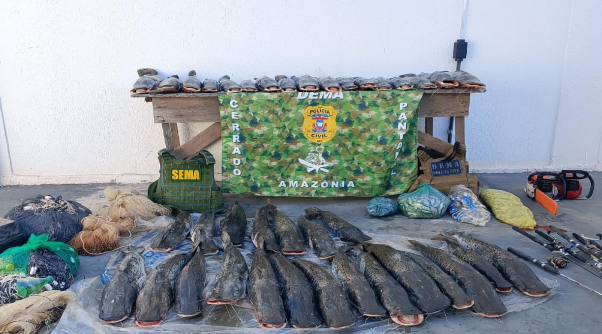Sema e Dema apreendem 235 quilos de pescado em Barão de Melgaço após denúncia 1