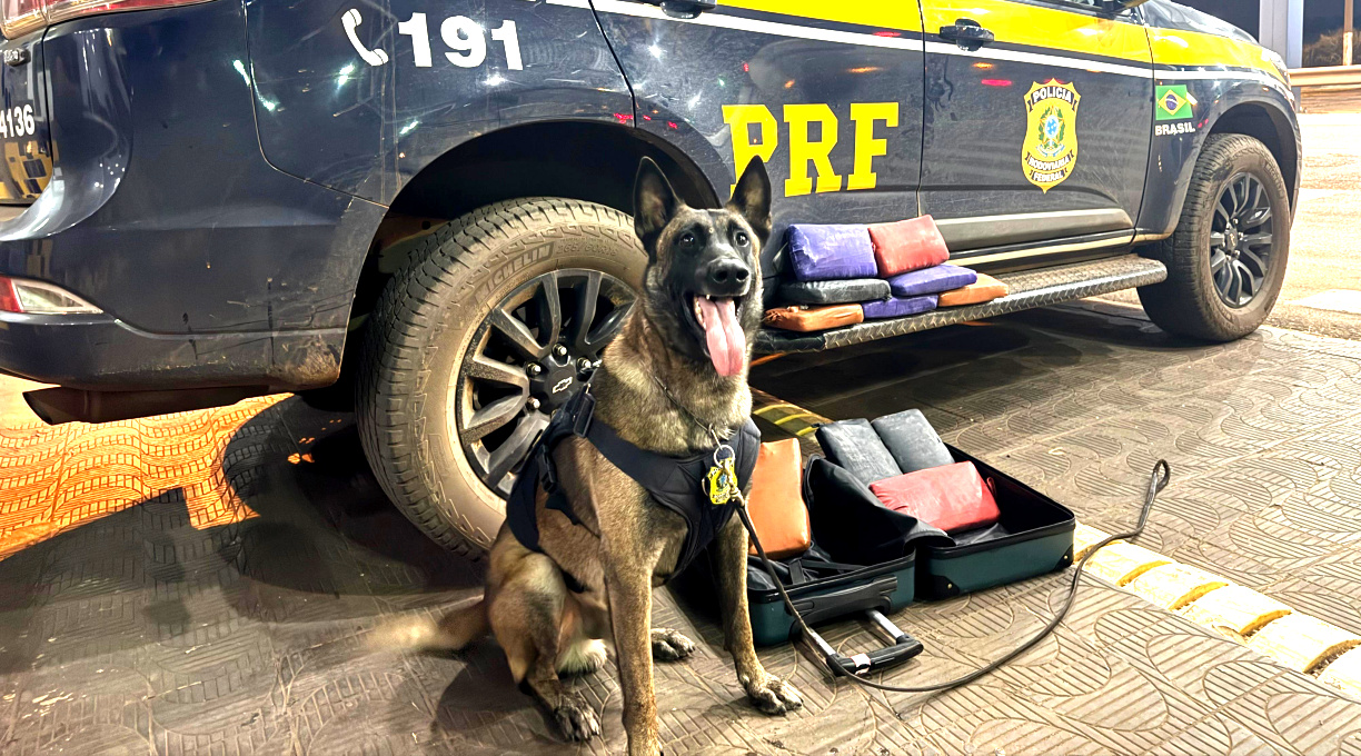 PRF Apreende Super Maconha na BR 364 em Rondonópolis 1