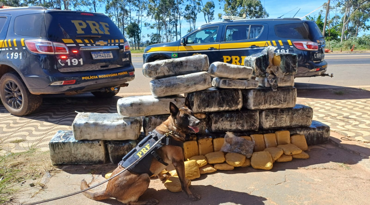Caminhoneiro é preso pela PRF na BR-364 após ser flagrado transportando mais de 300 kg de drogas 1