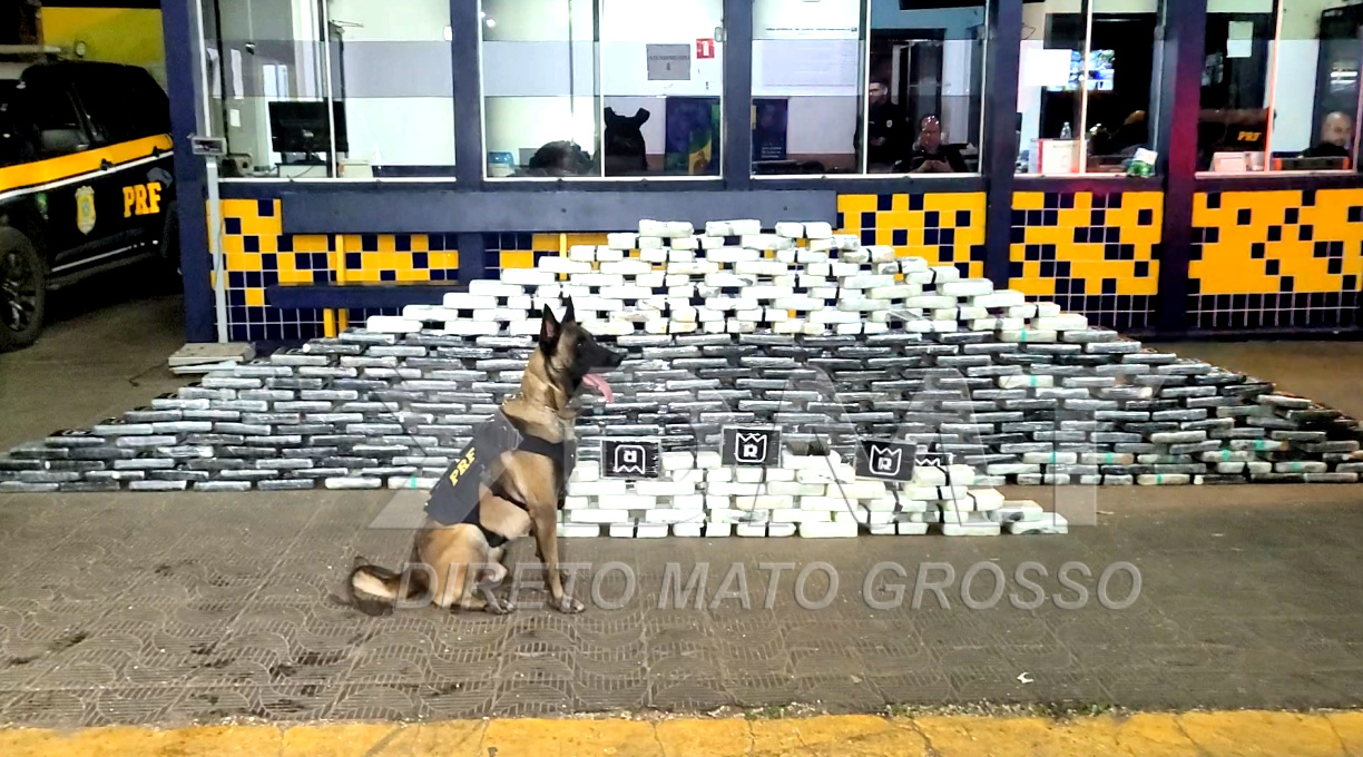 PRF apreende em Rondonópolis 400 kg de cloridrato e pasta base de cocaína e prende caminhoneiro por tráfico de drogas 1