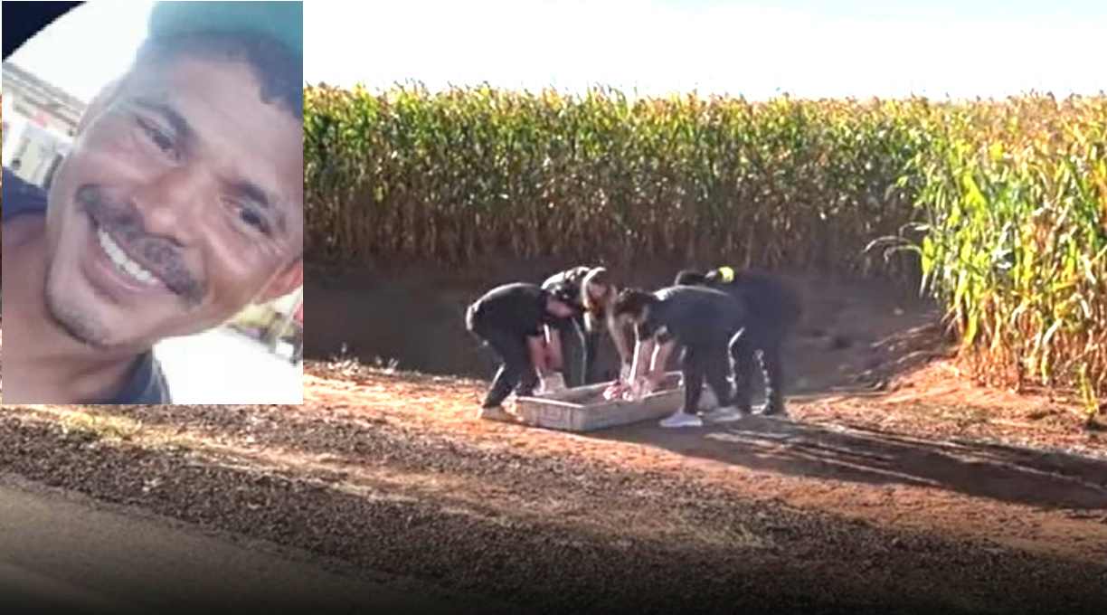 Com sinais de disparos de arma de fogo, um homem foi encontrado morto em meio a um milharal 4