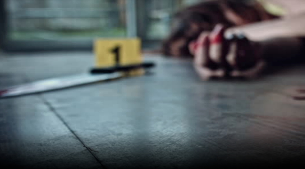 Brasil registra 1.459 feminicídios em 2024; média é de quatro mulheres assassinadas por dia 1