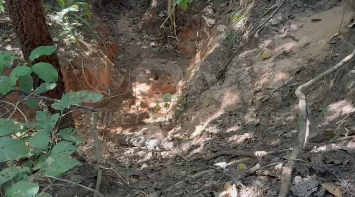 Após denúncia, investigadores da DHPP encontraram corpo em uma cova rasa às margens da MT-270, em Rondonópolis 1