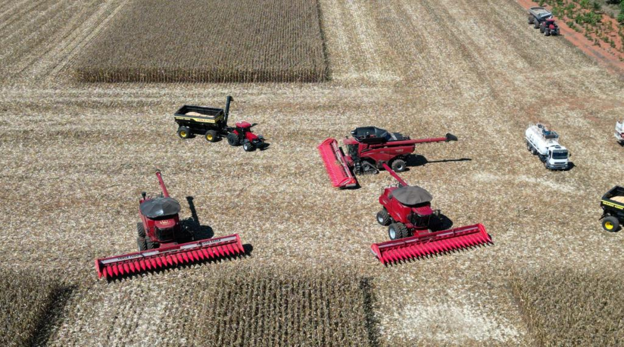Mato Grosso dá início à colheita da segunda safra nacional de milho 1