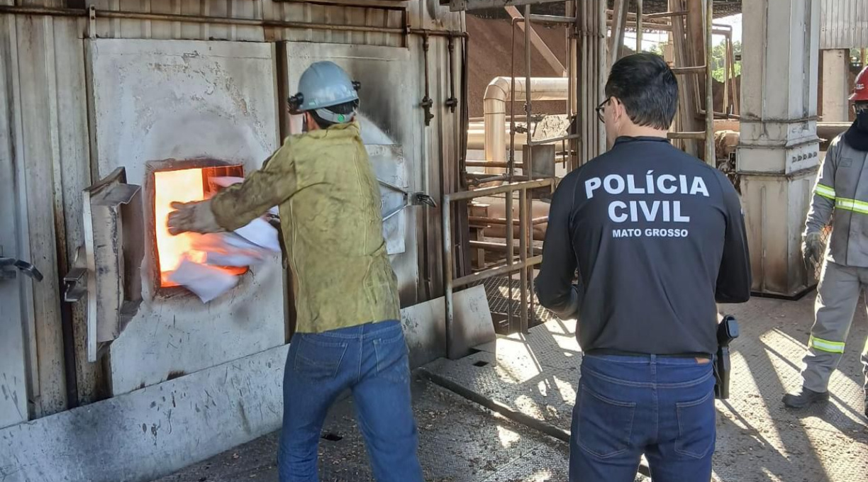 Polícia Civil realiza quinta incineração de drogas em Alto Araguaia só em 2025 1