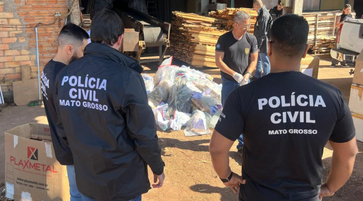 Polícia Civil incinera 200 quilos de drogas apreendidas em 2024 e 2025 em Sinop 1