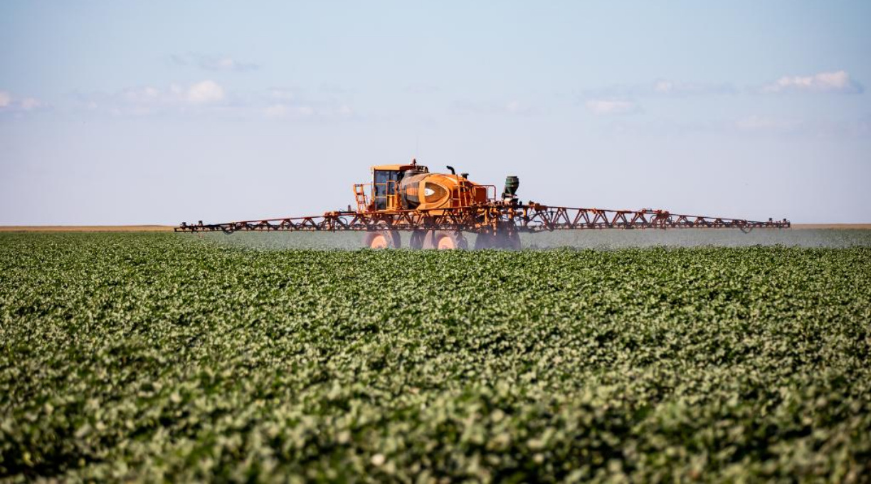 Mato Grosso puxa alta na estimativa de produção agrícola e consolida liderança nacional 1