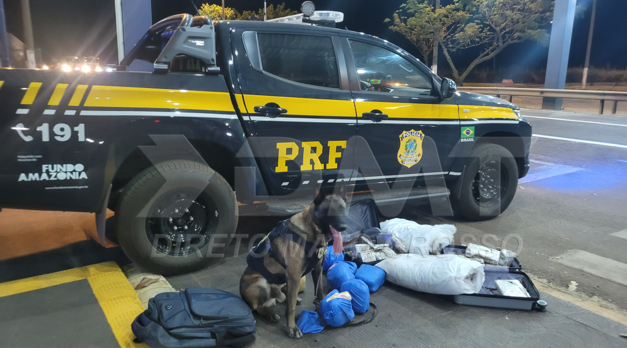 Com o apoio do cão farejador Zion, PRF aprende quase 20 kg de entorpecentes e prende três pessoas em Rondonópolis 1