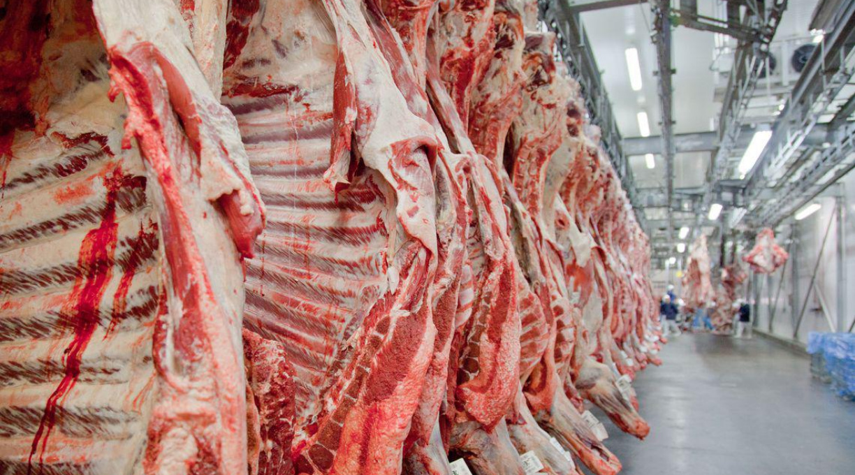 Brasil deve bater recorde de exportação de carne bovina mesmo sem os EUA, diz analista 1