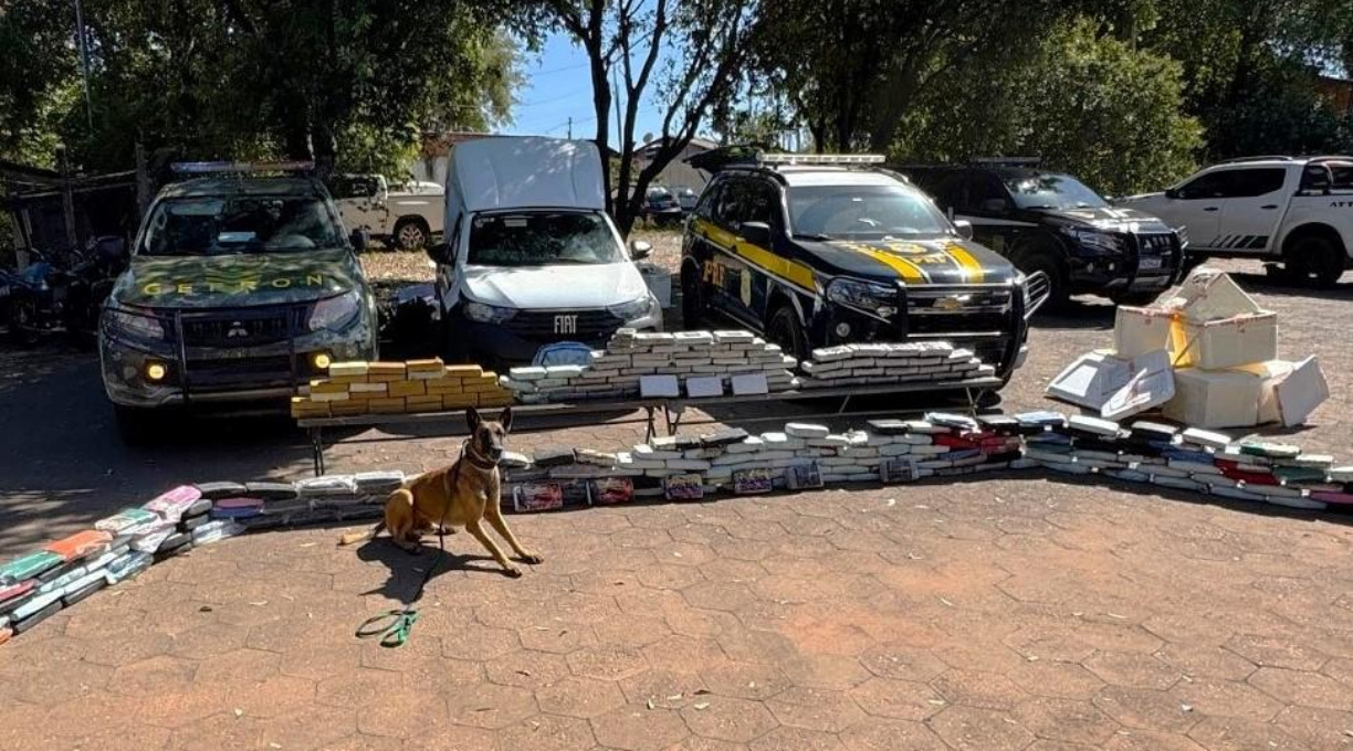 Operação integrada do Gefron e PRF apreende 280 quilos de drogas com auxílio de cão farejador 1