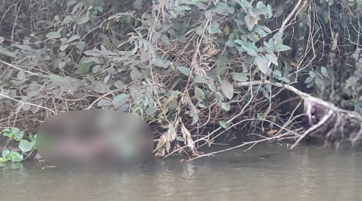 Após três dias desaparecida, vítima de afogamento, de 28 anos, é encontrada pelo Corpo de Bombeiros 1