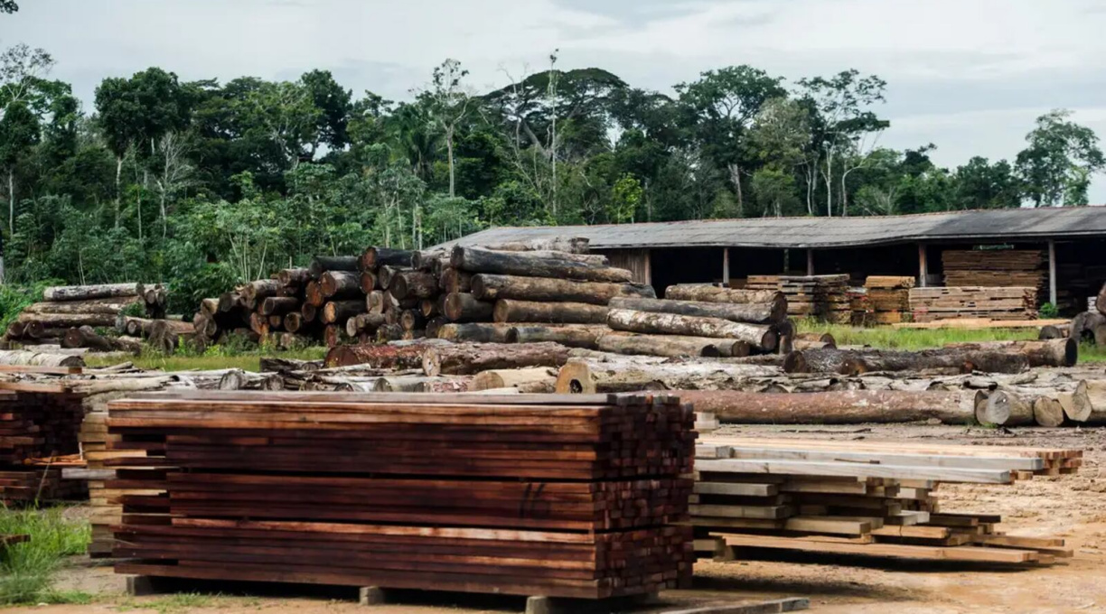 A três dias do tarifaço de Trump, indústria de madeira já registra férias coletivas e demissões 1