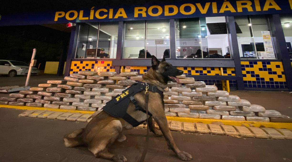 Casal é detido pela PRF após ser flagrado com grande quantidade de Skunk na BR-364 em Rondonópolis 1