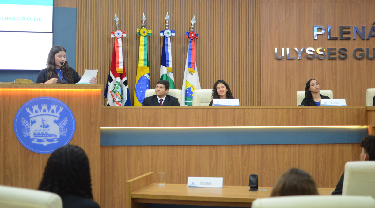 Vereadores Mirins aprovam primeiro projeto de lei da 4ª Legislatura em Rondonópolis 1