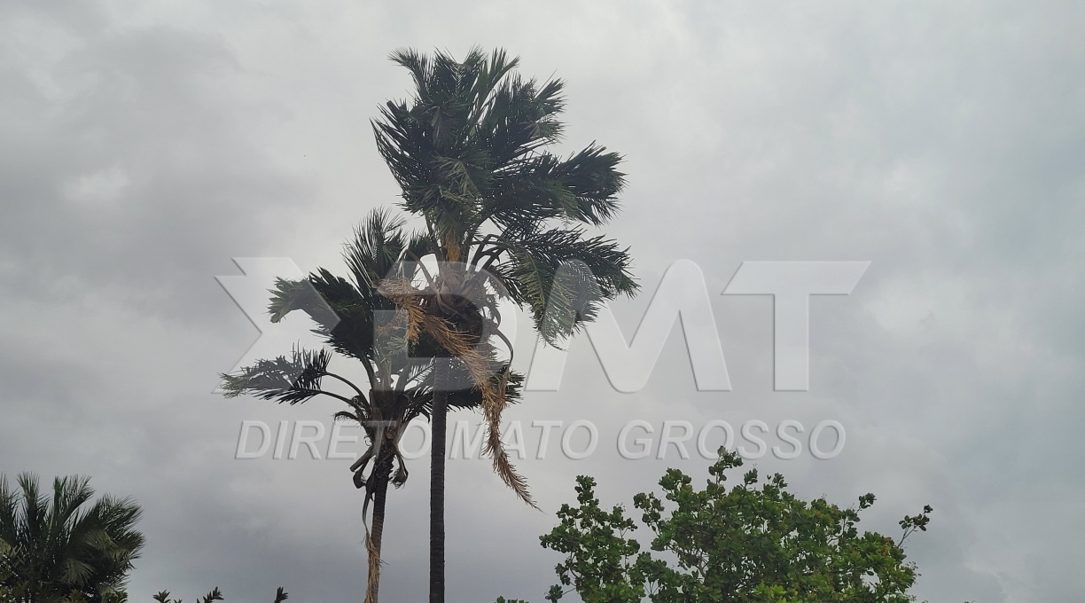 Mato Grosso e outros nove estados estão sob alerta de chuvas intensas e ventos de até 100 km/h 1