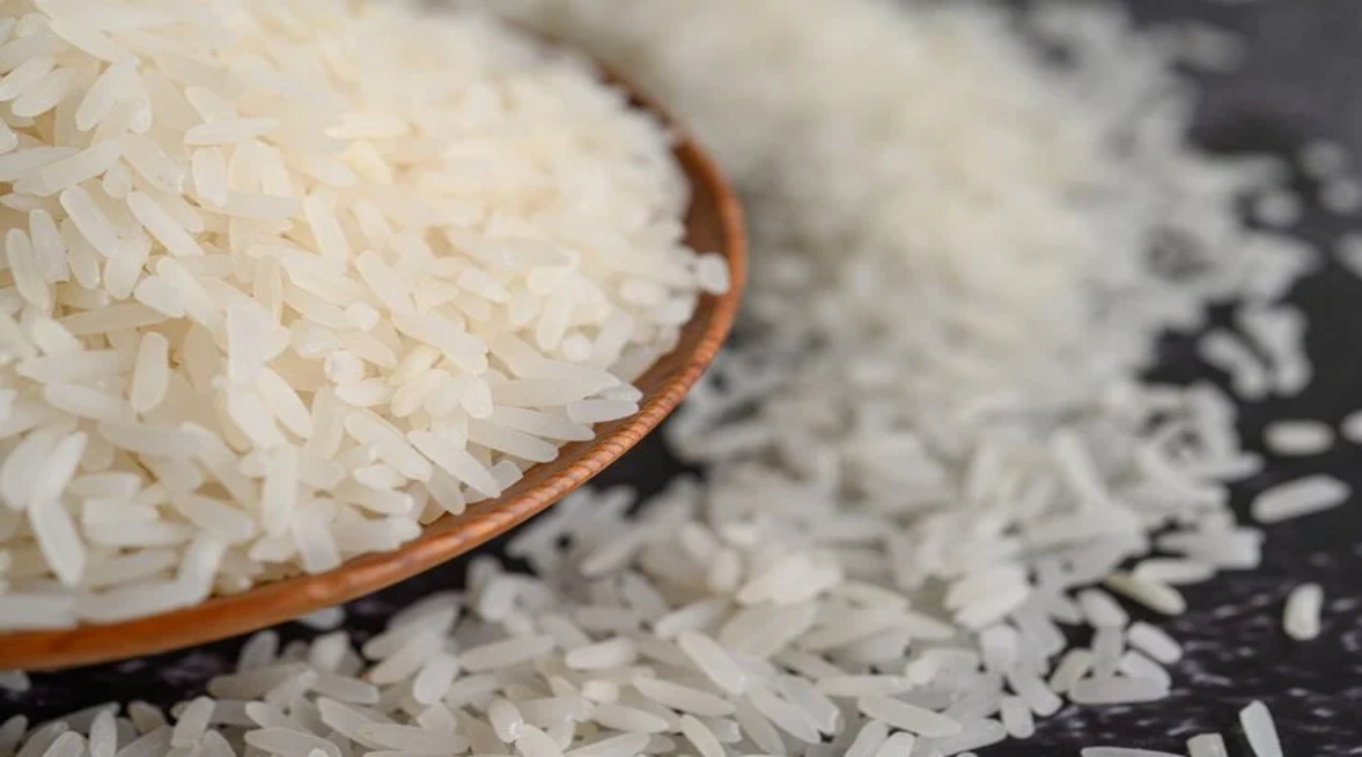 Produção brasileira de arroz deve ter queda de 6% em 2025/26, diz USDA 1