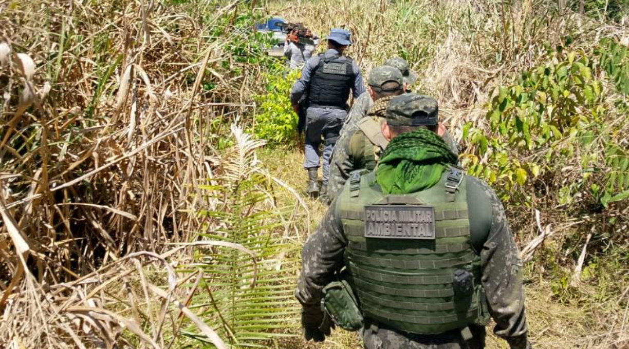 PM fecha área de desmatamento ilegal em fazenda e prende três homens em flagrante 1