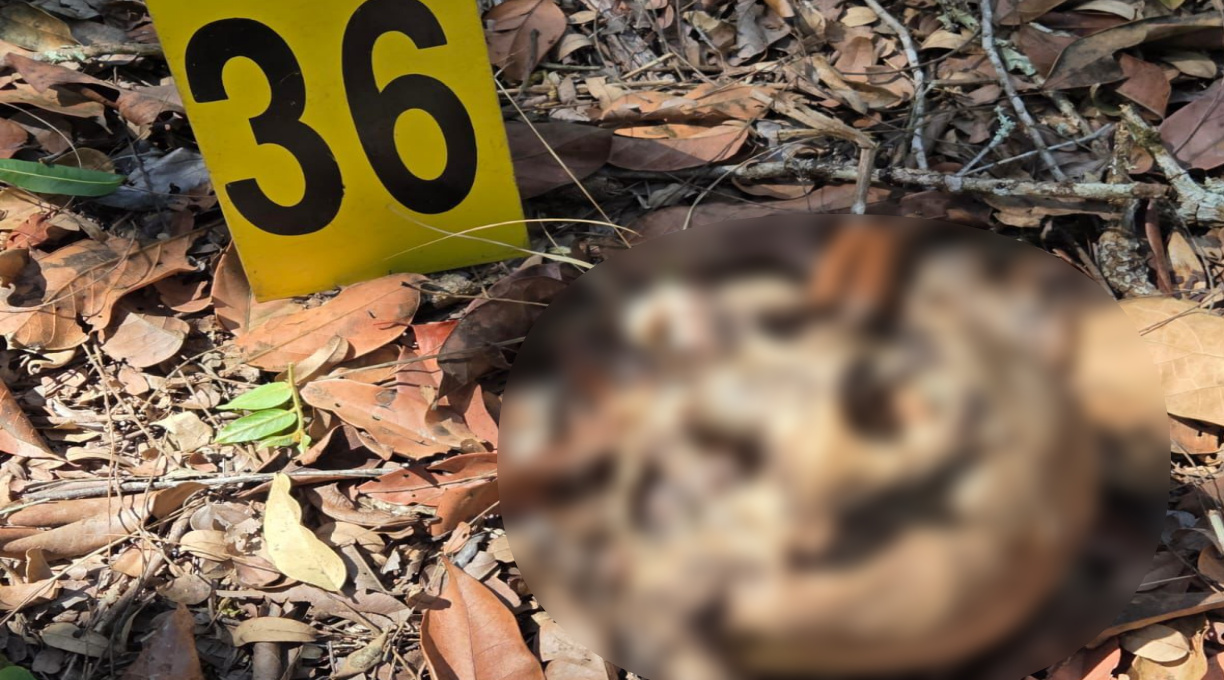 Ossada humana é encontrada por investigadores da Polícia Civil em área rural de Jaciara 1