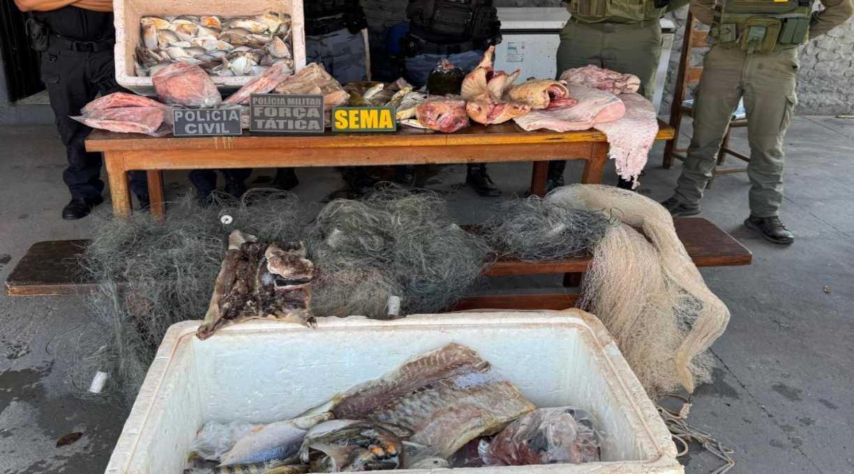 Polícias Civil e Militar prendem empresário e apreendem 77 kg de pescado ilegal 1