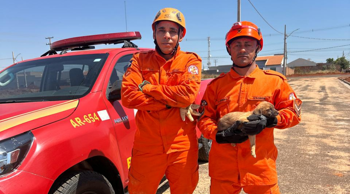 Bombeiros de Rondonópolis resgatam filhote de cachorro que estava preso a mais de 60 metros em bueiro 1