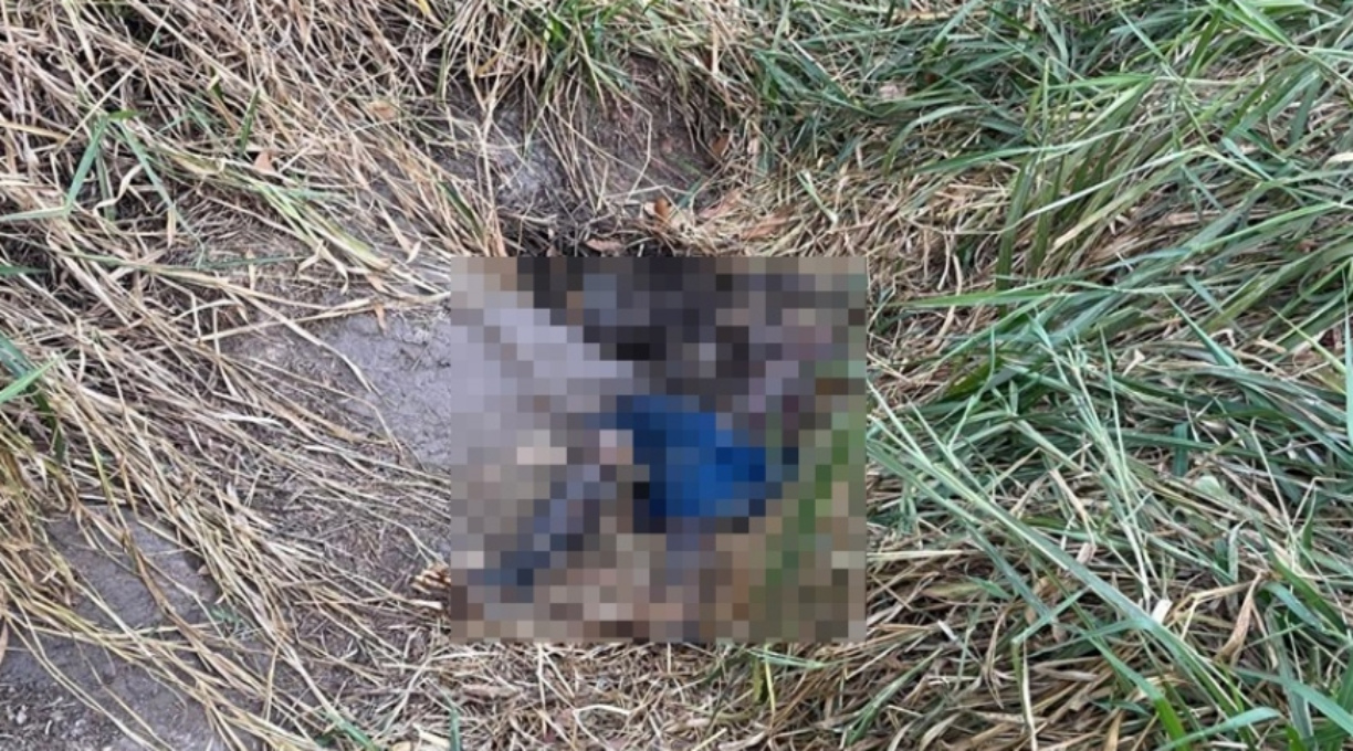 Corpo de homem em decomposição é localizado em região rural de Primavera do Leste 1