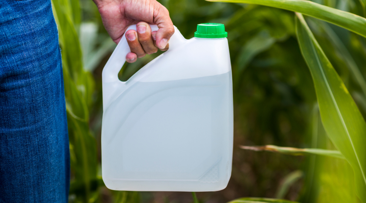 Biocombustível de milho impulsiona produção e expande fronteiras agrícolas com melhoramento genético 1