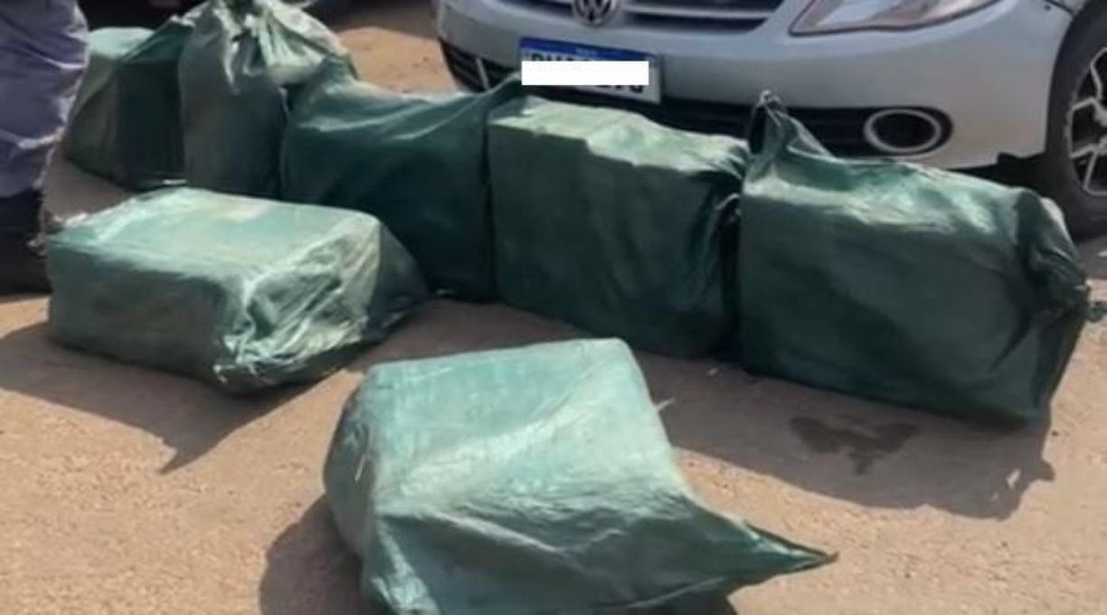 Polícia Militar e Gefron apreendem 247 tabletes de cocaína avaliados em mais de R$ 7 milhões 1