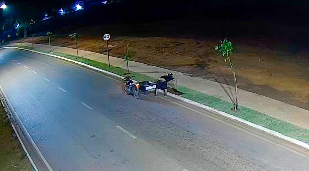 Ação rigorosa com multa e prisão contra furtos e descarte irregular de lixo 1