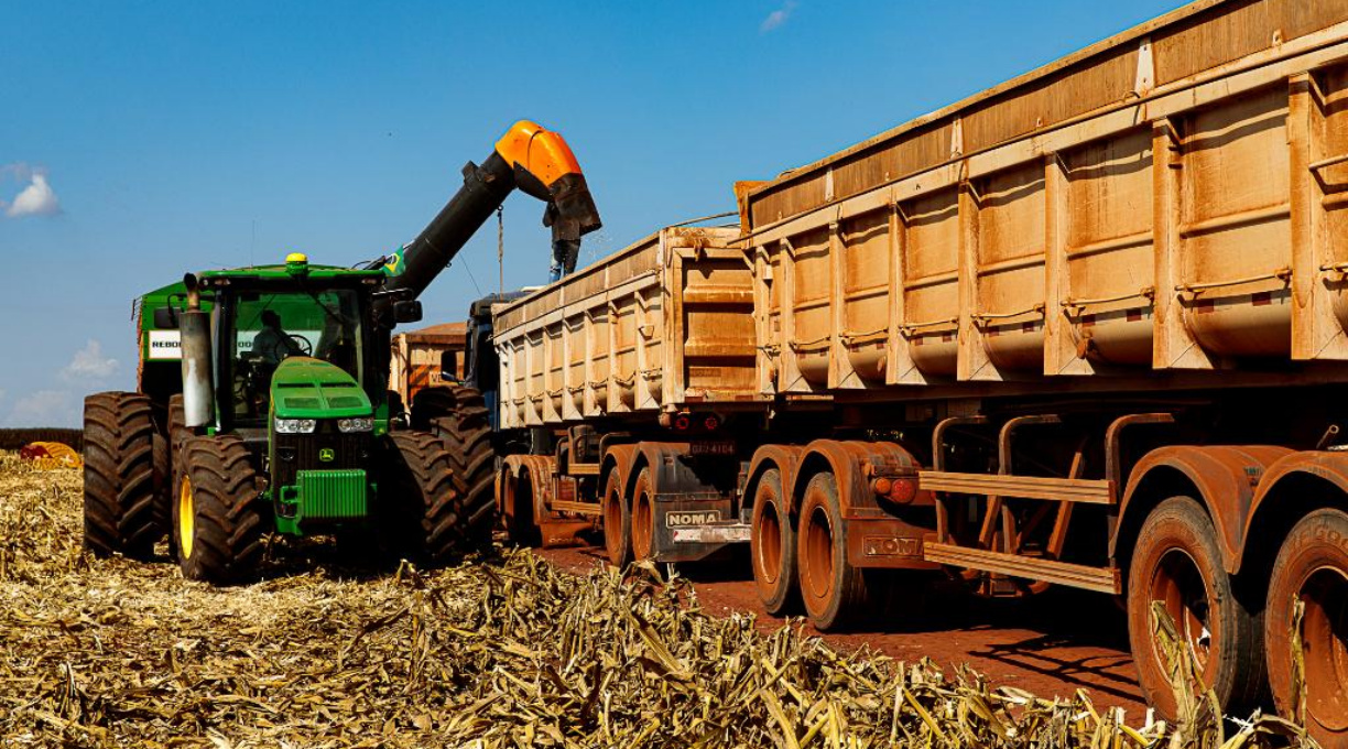 Mato Grosso finaliza colheita da 2ª safra de milho com recorde de produção 1
