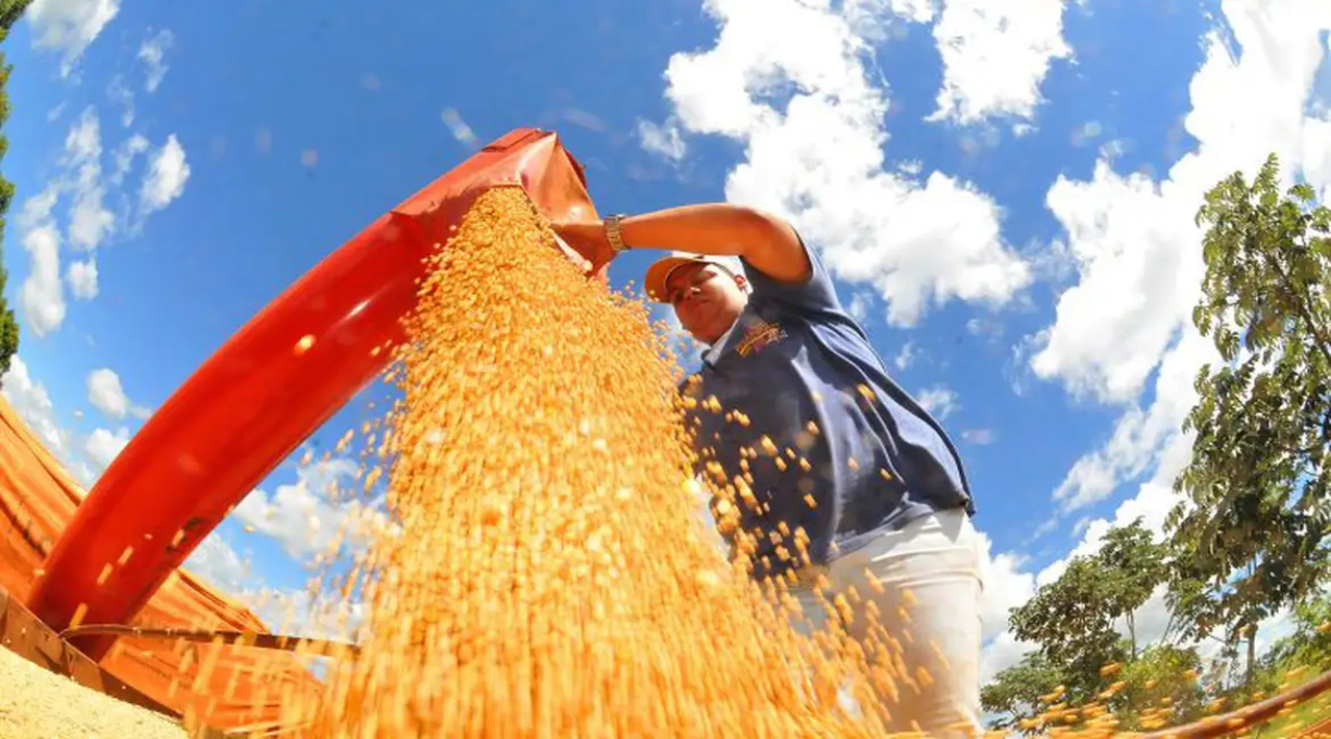 Brasil deve ter nova safra recorde de grãos em 2025/26, diz Conab 1