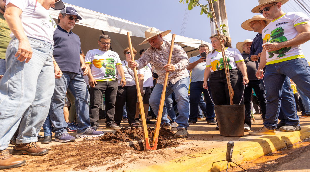 Prefeito lidera plantio de mudas na avenida Bandeirantes 1