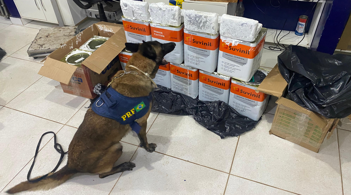 Ação integrada da PRF e DERF de Rondonópolis resulta em apreensão de Skunk e prisão de duas pessoas 1