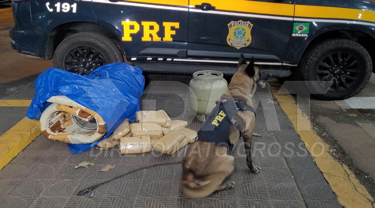 Casal de bolivianos é preso pela PRF transportando 22 tabletes de Skunk dentro de botijões de gás 1