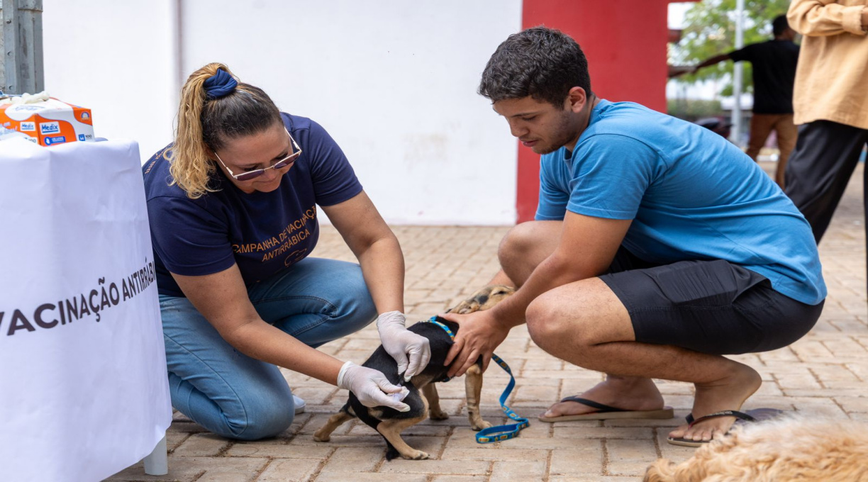 Dia D de Vacinação Antirrábica acontece neste sábado (27) em Rondonópolis 1