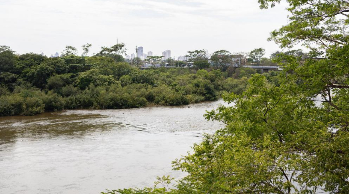 Pescadores profissionais e estabelecimentos comerciais devem declarar estoque pesqueiro até a próxima sexta-feira (03) 1